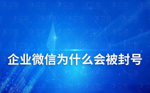 企业微信为什么会被封号